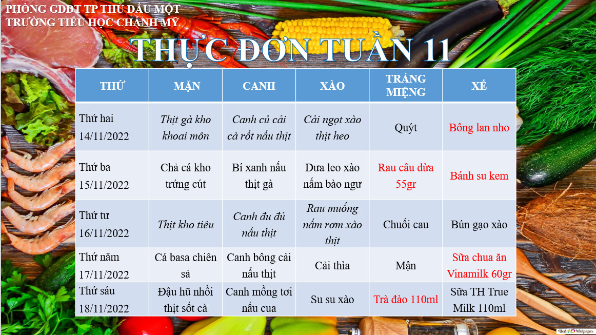THUC DON TUAN 11